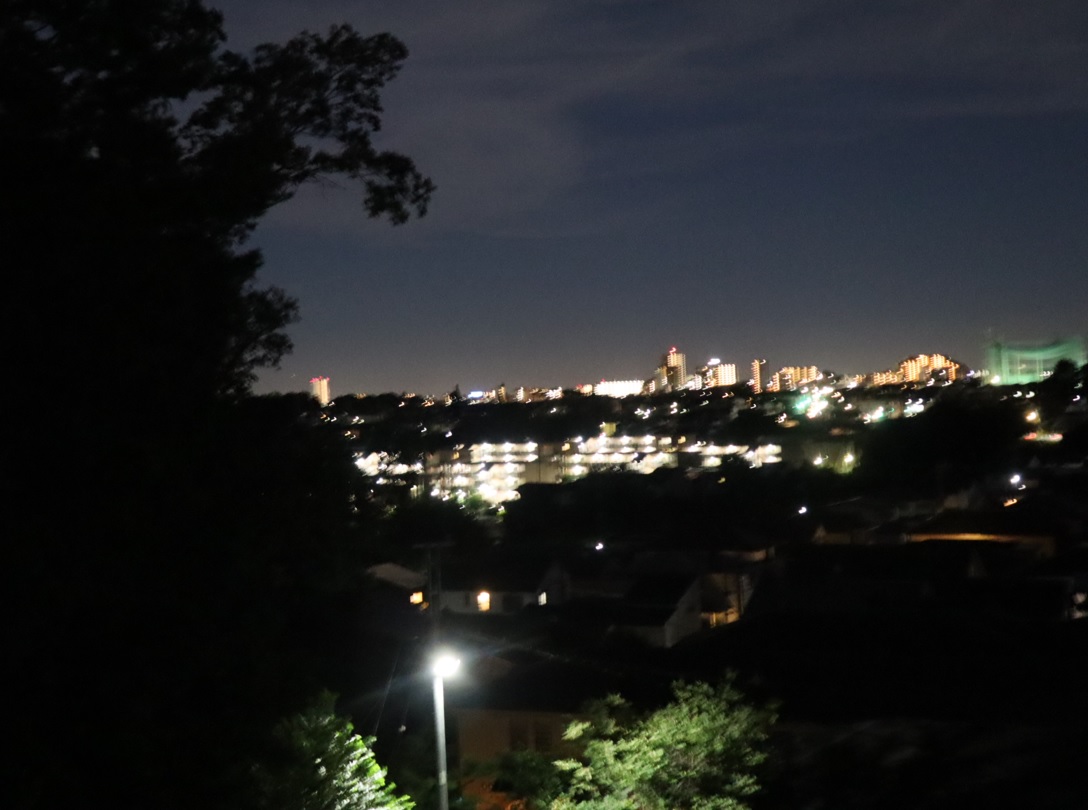 崖の上から見下ろした昆虫バカセの昆虫ウオッチングフィールドの夜景_2021年8月19日19時15分 気温27度